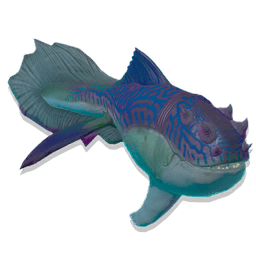 Colossal Jawfish