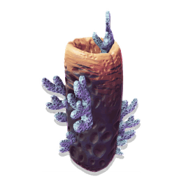 Luminescent Coral