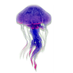 Mineralised Jellyfish