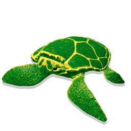 Wandering Shellback