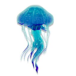 Whispering Jelly